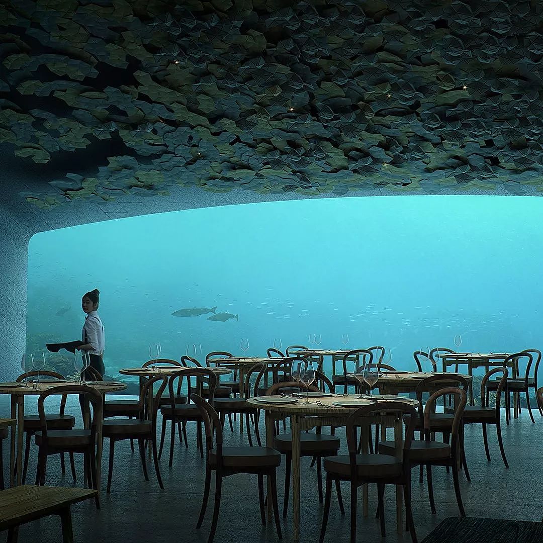 世界最大水下餐厅营业！全景水下视野美到爆，刚开业就吸引7000人排队！ - 27