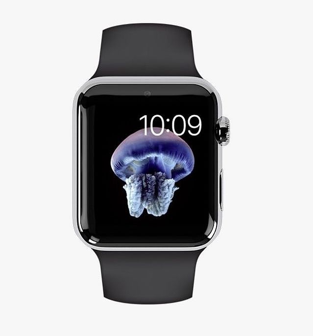 苹果Apple Watch销量大爆发，iOS13将更加保护隐私 - 2