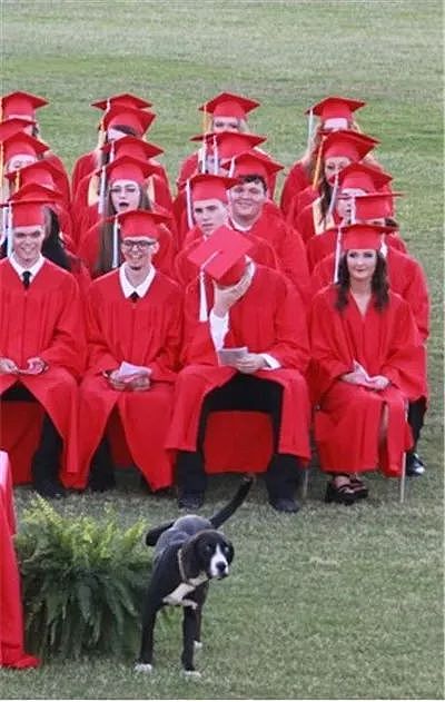 这狗竟然跑到主人的毕业典礼上，对着花盆“解放”…… - 3