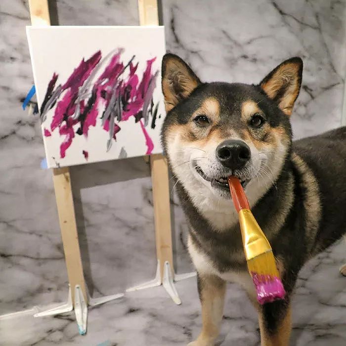 不相信吧？连狗狗都可以做艺术家啦 - 3