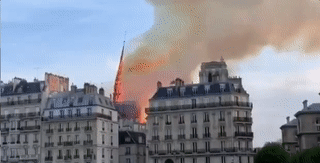 全世界为之悲伤！巴黎圣母院大火，800年古迹被焚毁，救援最新进展已出... - 2