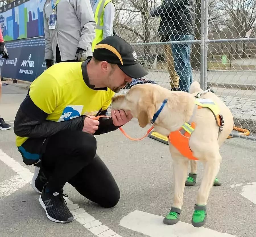 三只导盲犬轮流协助引导盲人小哥跑完21公里马拉松比赛！ - 5
