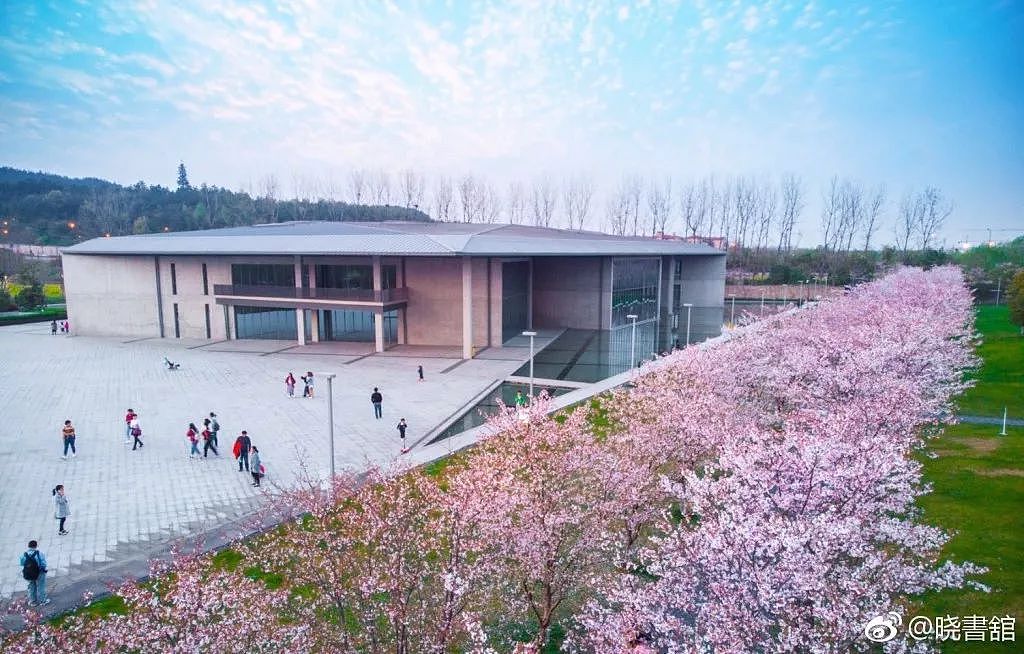 高晓松在杭州开了一家图书馆，把你做过的梦都一一实现了！ - 23