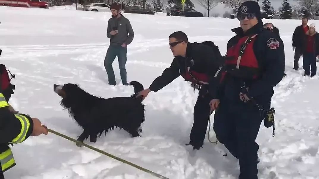 超暖！狗狗掉进冰湖无法动弹，消防员蜀黍冒险将它救起！ - 6