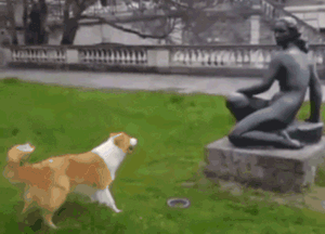 当一只色狗偶遇一座雕像狗：这狗我能上吗？ - 8