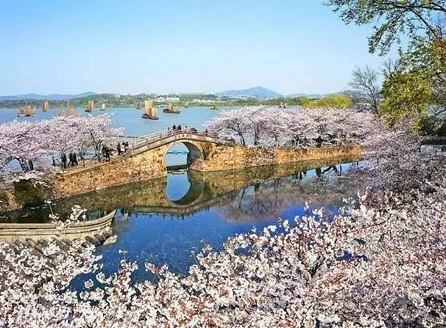 何必远赴日本，中国这8个超浪漫赏樱地，最便宜6元就可出发！ - 23