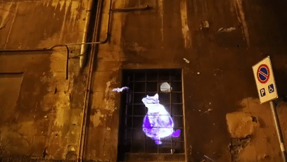 近日罗马街头惊现巨型光雕艺术猫咪，才发现猫咪还可以这么玩！ - 10