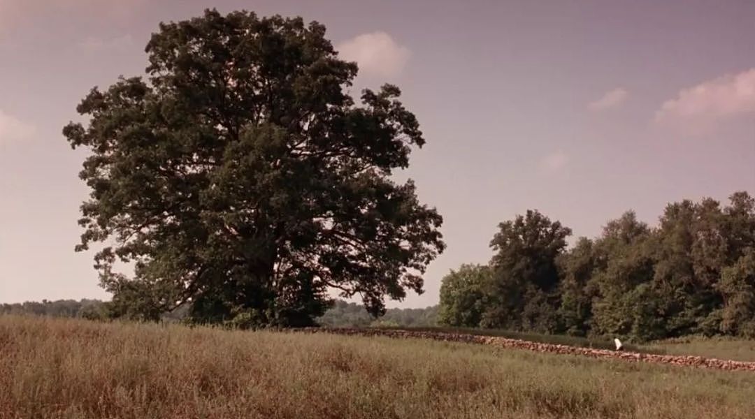 史上最佳影片《肖申克的救赎》上映25周年：要么汲汲于生，要么碌碌于死 - 19