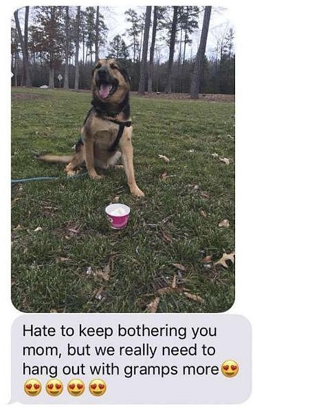 女儿出差时把狗子交给爸爸养，却意外收到了这样的短信…… - 4