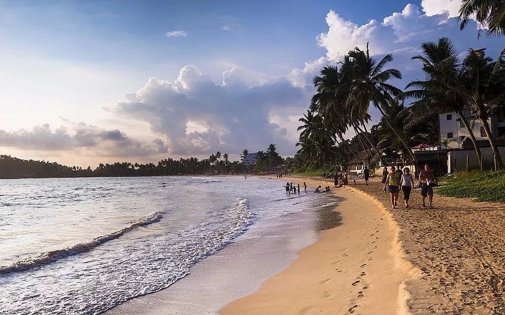 斯里兰卡——印度洋的美丽海岛，南亚的“小非洲” - 16