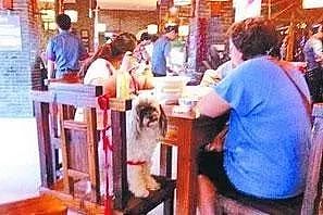 女子在餐馆拿公共餐具喂狗，餐馆老板为此砸碎一百套旧餐具… - 5