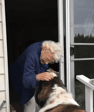 90多岁老奶奶不愿搬去儿子家，竟是因为领居家的狗太可爱了？！ - 8