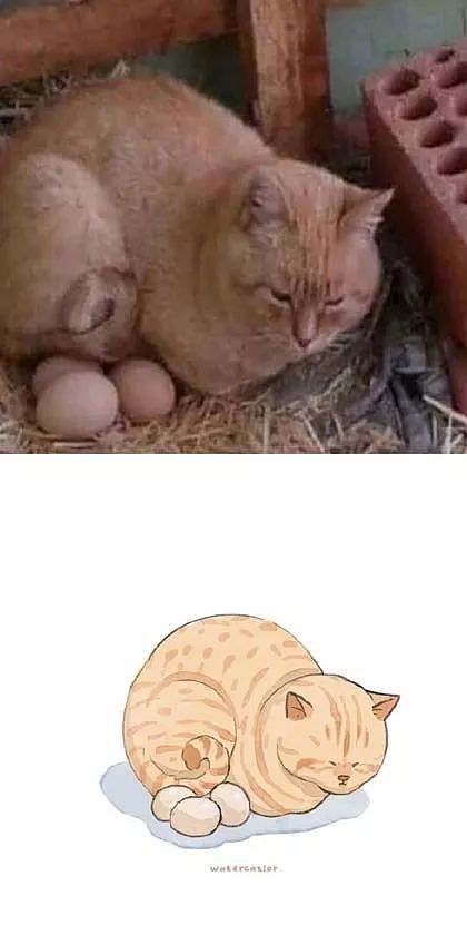 这位画师把网上的沙雕猫猫图，画成了插画，这画风也太可爱了！ - 8