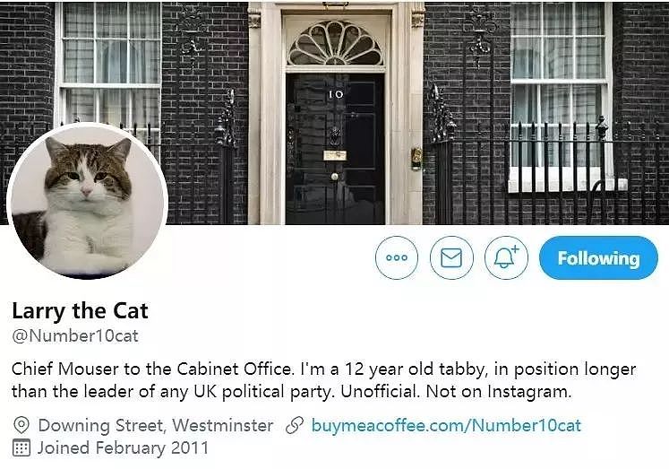 英国首相收养了一只狗，但网友们却觉得它前途堪忧…… - 13