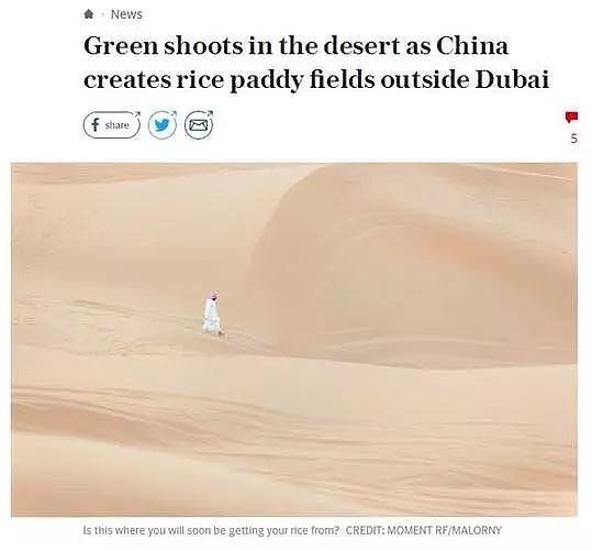 太了不起了，中国又创造了一个世界奇迹：在沙漠种出水稻 - 1