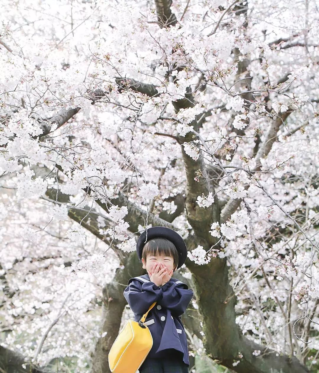 日本妈妈偷拍樱花树下的儿子，美成宫崎骏童话，治愈无数人 - 1