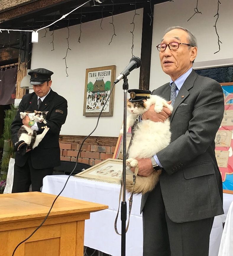 日本超人气猫站长升职啦，在它的升职演讲上，它一开口就让人... - 8
