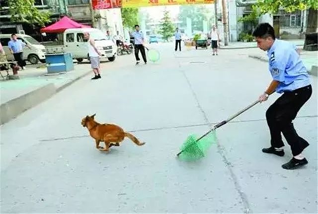 蒲江的警察蜀黍只用一招，就让养狗人“束手就擒”… - 2