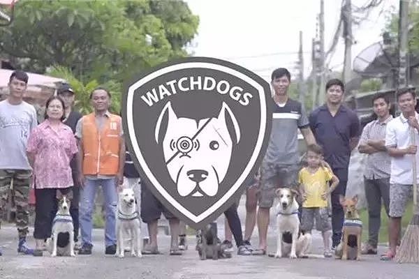 为了让更多人接受流浪狗，泰国政府想出了这样一个办法！ - 14
