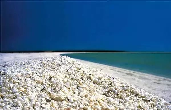 世界上最美的12种颜色的沙滩，你爱哪一种？ - 35