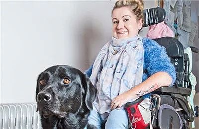 一只服务犬保姆狗狗，拯救了肌肉萎缩患者的生活 - 1