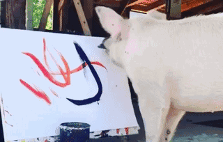 一头待宰的猪画了幅画，竟卖了23万元，被称为猪界毕加索，还全世界办展览！ - 23