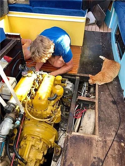 出生不久的小浪猫，遇到水手大哥后，不仅学会海上生存技能，还... - 13
