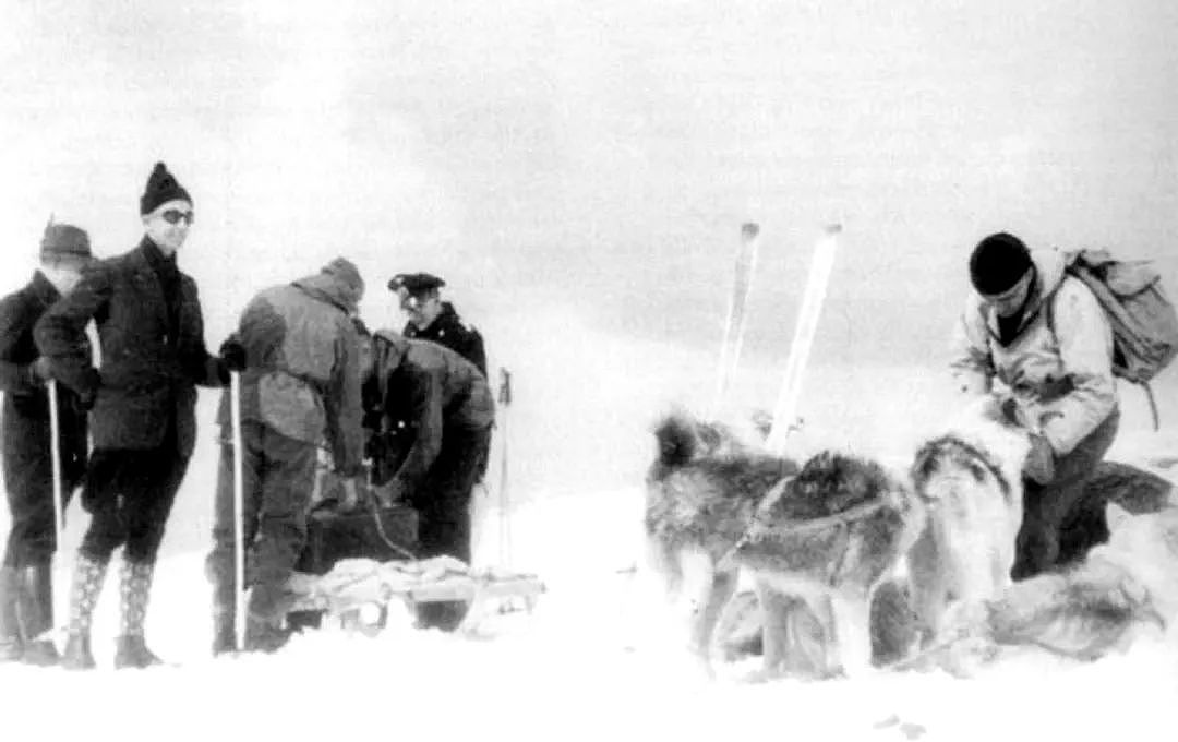 最后投降的二战德军：被遗忘在北极孤岛1年，靠吃北极熊活命 - 6