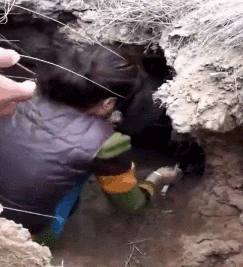 小奶狗掉进山洞被困四天，志愿者：“它靠吃泥活到现在...” - 3
