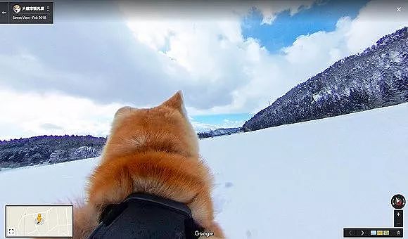 谷歌推出了Dog View，下次去日本就是这只萌萌的秋田带你导航了！ - 4
