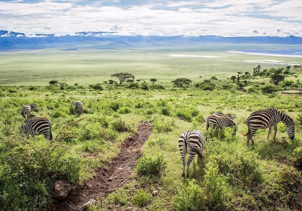 肯尼亚+坦桑尼亚，春节远走东非开启Safari之旅！ - 15