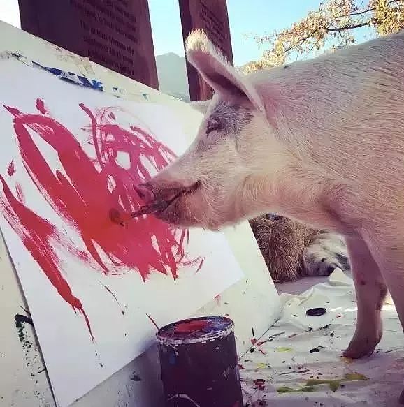 一头待宰的猪画了幅画，竟卖了23万元，被称为猪界毕加索，还全世界办展览！ - 12