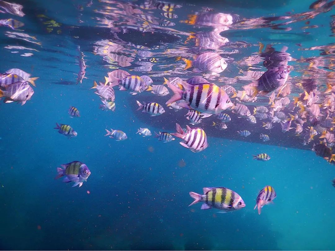 一年仅开放150天！泰国唯一敢叫板马代的潜水圣地，又开岛了！ - 10