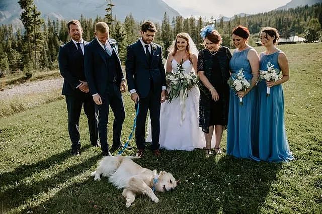 新人带着狗举办婚礼，可大家的注意力却在婚礼蛋糕上... - 7