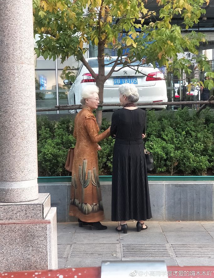 70岁中国旗袍奶奶，走向国际T台惊艳世界：等我老了也要这样美 - 23