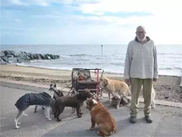 79岁的老爷爷每天要遛八九只狗...而他这么做的原因超贴心！ - 3