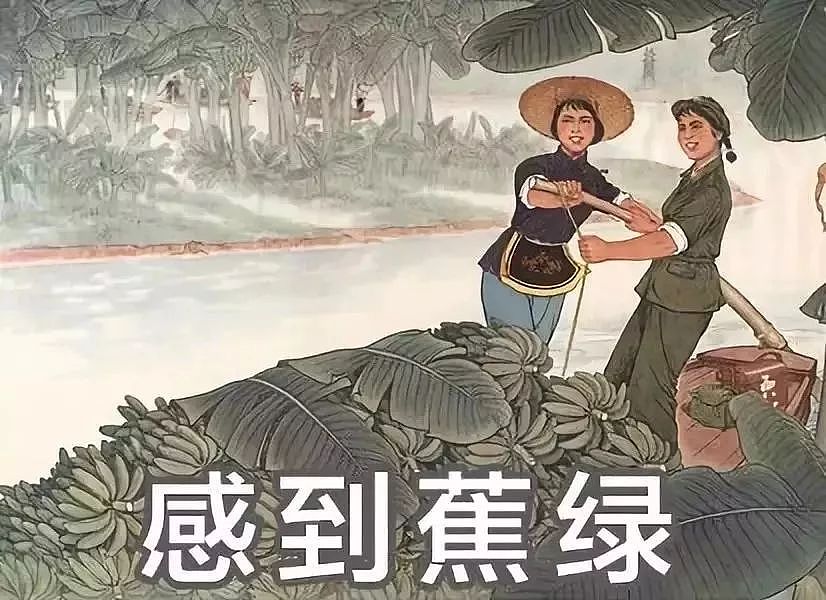 中国女子减肥图鉴，哈哈哈哈哈哈哈哈 - 6