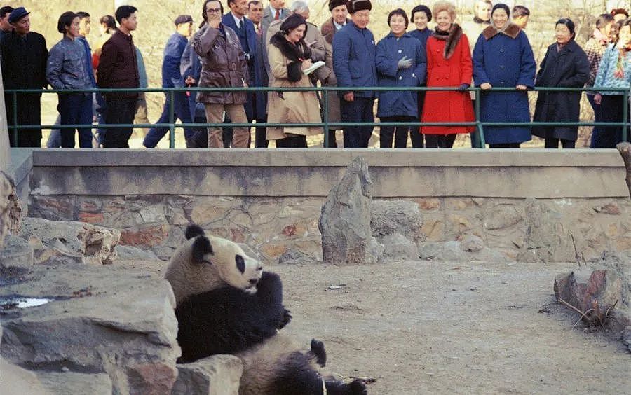 在日本，熊猫是一种信仰 - 18