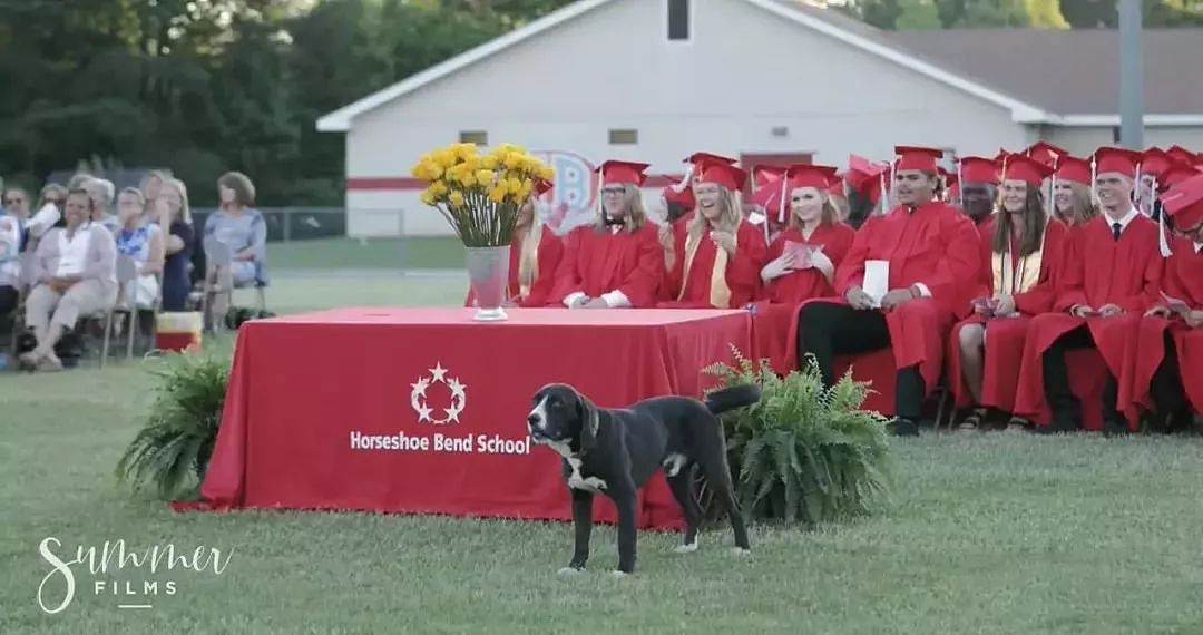 小主人好心带爱犬来见证自己的毕业典礼，结果真的超尴尬... - 4
