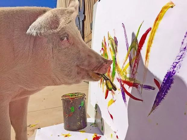 一头待宰的猪画了幅画，竟卖了23万元，被称为猪界毕加索，还全世界办展览！ - 34