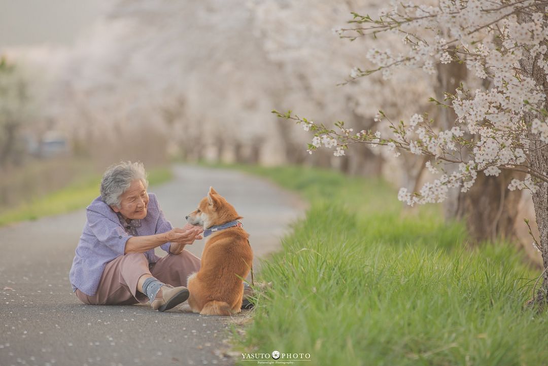 日本小哥抓拍奶奶和狗狗的照片，第一张就被暖哭了… - 4