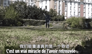 中国流浪狗跨国参加巴黎马拉松：它通过奔跑改变了命运 - 8