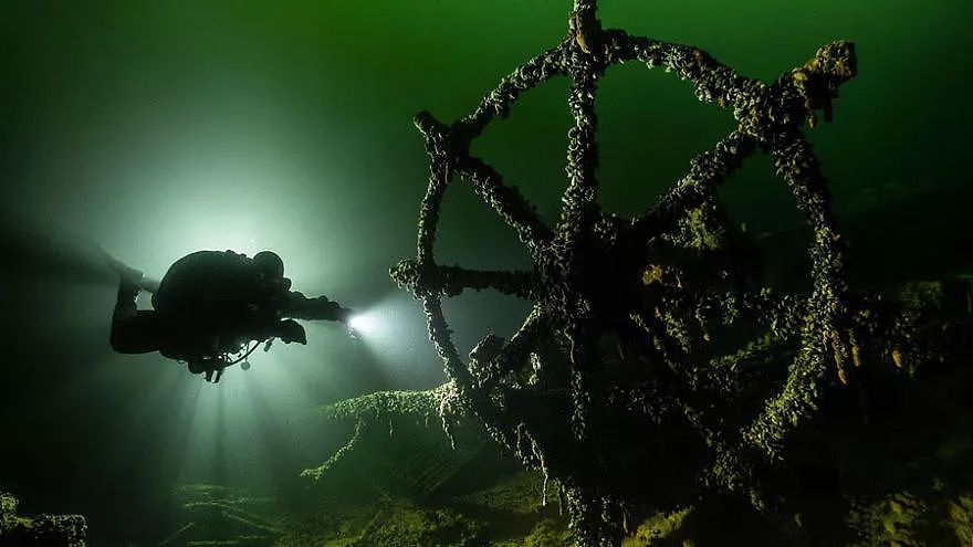 2018年水下摄影师大赛的获奖作品，带你进入一个水下世界 - 5