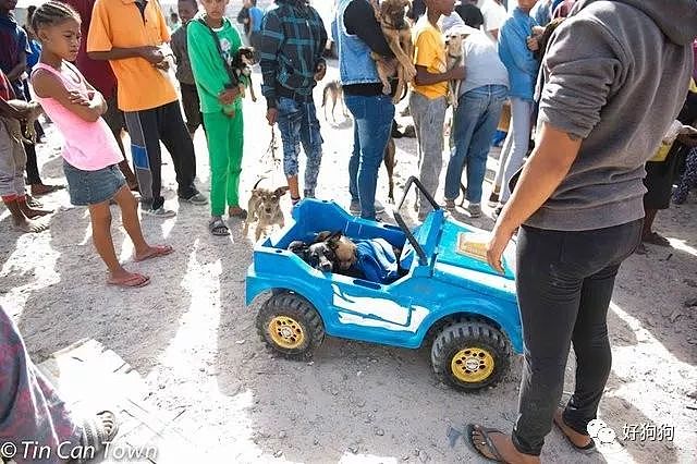 南非一女士把狗狗放在玩具车里，带着它们步行2小时来看医生！ - 4