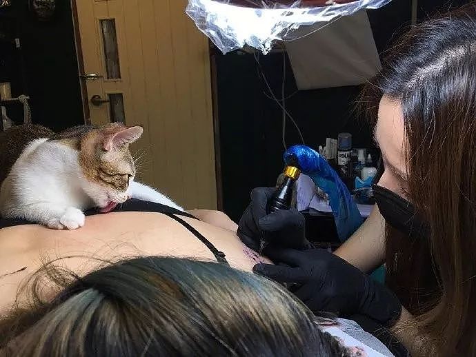 纹身店的猫咪，一有客人来，就喜欢躺在客人腿间睡觉，好不正经！ - 9