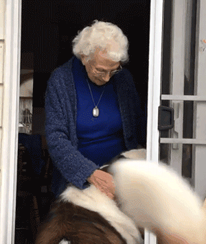 90多岁老奶奶不愿搬去儿子家，竟是因为领居家的狗太可爱了？！ - 7