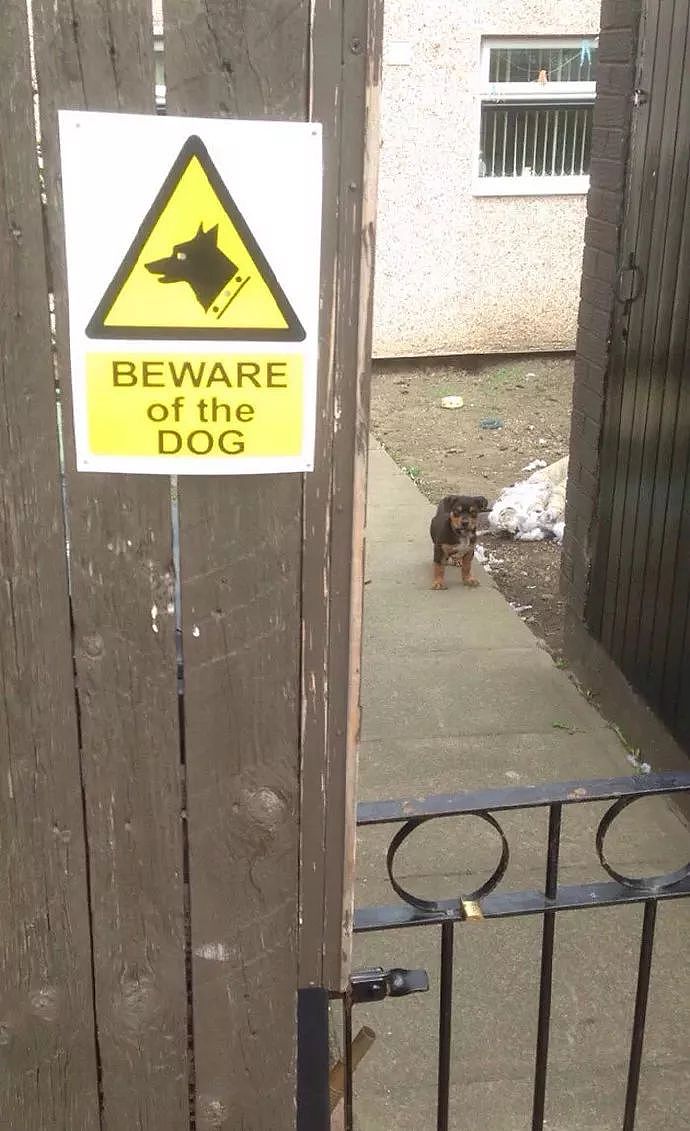 这些“小心恶犬”警告，竟都是骗人的！ - 5
