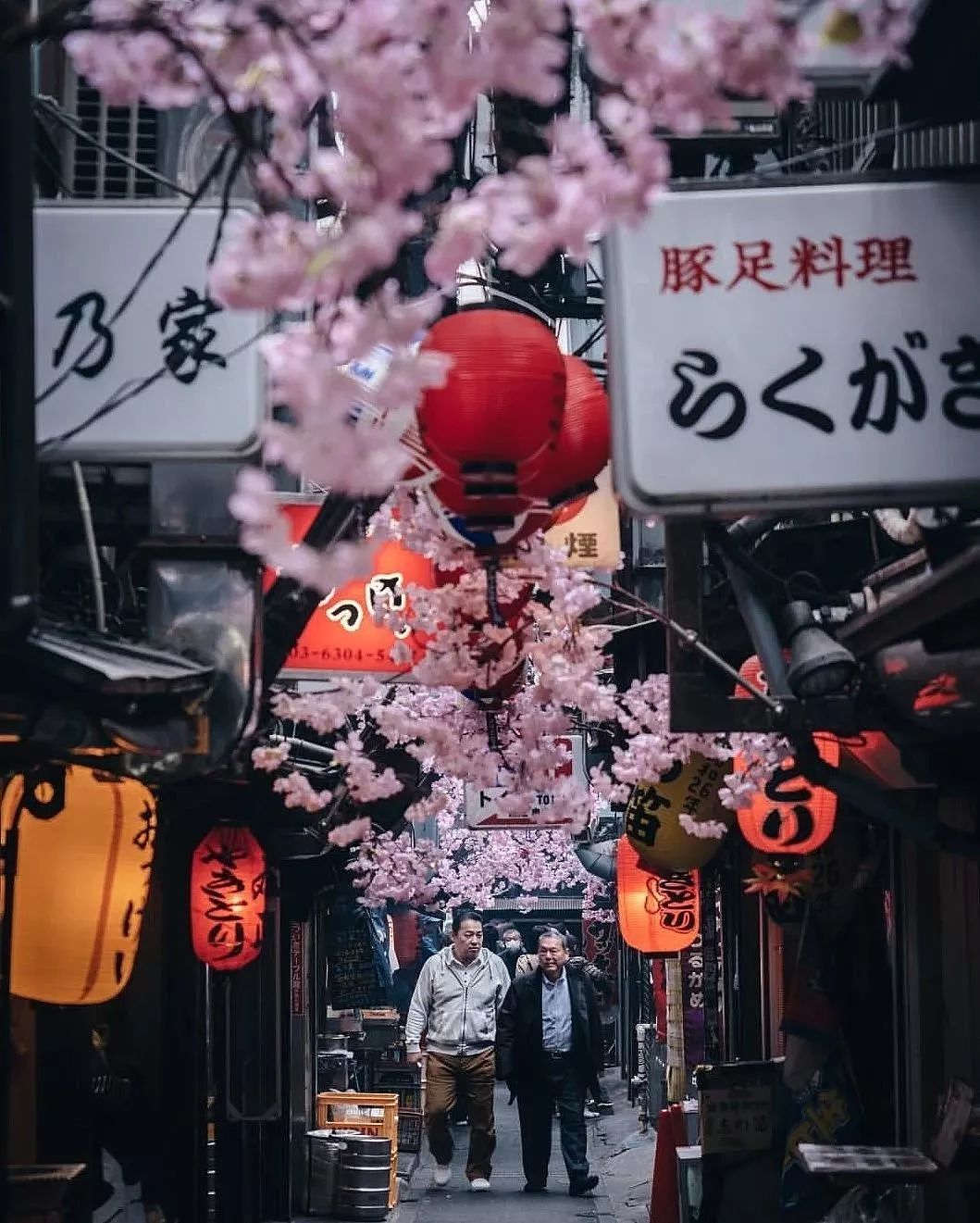 从日本到中国，火遍ins的摄影组图惊艳世界 - 20