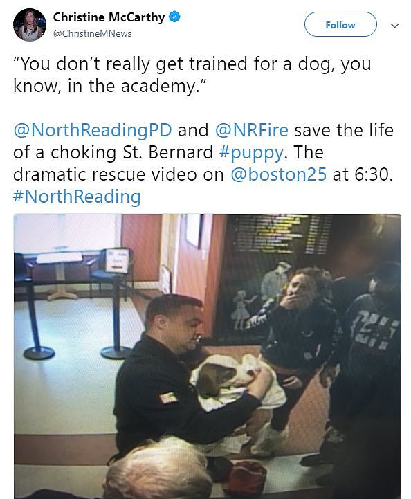 主人抱着意外窒息的狗狗冲进警察局，没想到还真救活了！ - 7