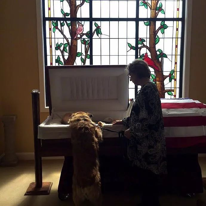 76岁爷爷去世，狗狗趴在棺木告别的那一幕，我哭了！ - 2